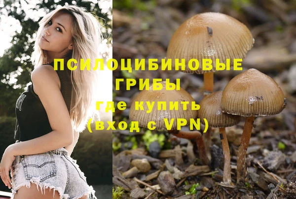 тгк Вязьма