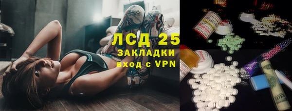 стафф Вяземский