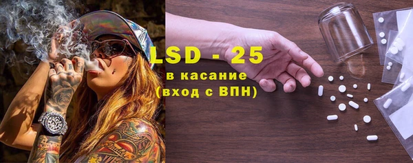 стафф Вяземский