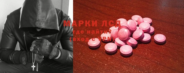 стафф Вяземский