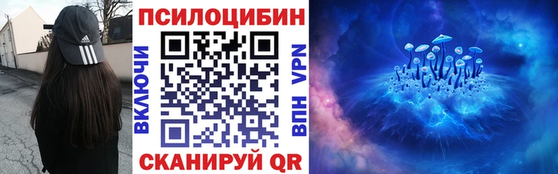 Псилоцибиновые грибы Psilocybe  Купить где  Ликино-Дулёво 